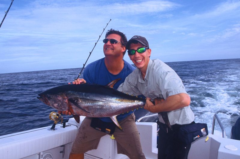 4-yellowfin-tuna