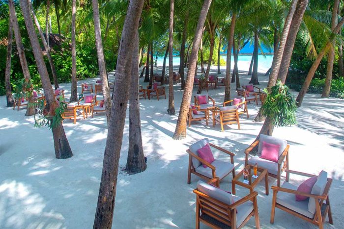 Baros-Maldives_Palm-Garden_Vertical