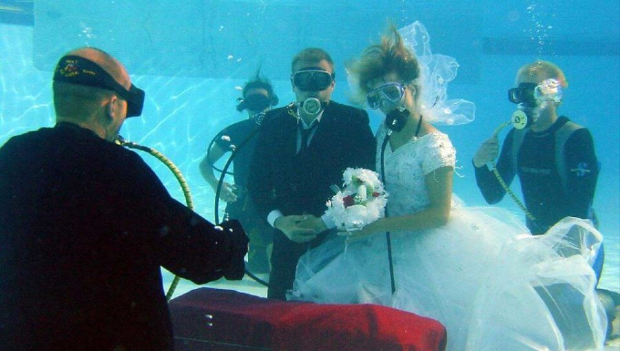 DIVE INTO WEDDING2