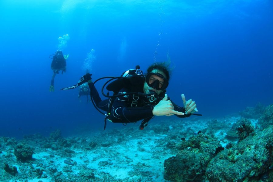 scuba diving5